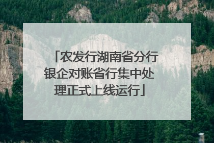农发行湖南省分行银企对账省行集中处理正式上线运行