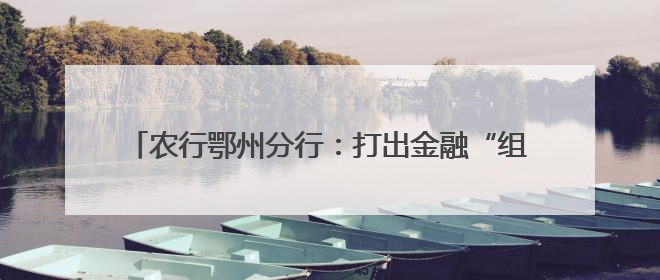 农行鄂州分行：打出金融“组合拳”，助燃消费“烟火气”