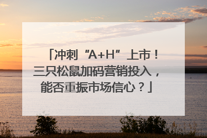 冲刺“A+H”上市！三只松鼠加码营销投入，能否重振市场信心？