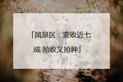 凤泉区：麦收近七成 抢收又抢种