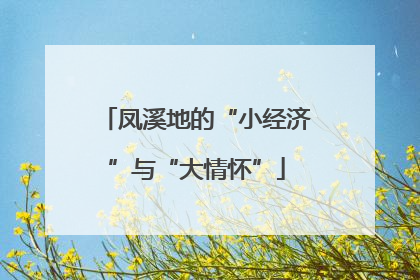 凤溪地的“小经济”与“大情怀”