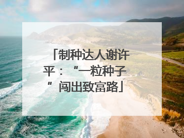 制种达人谢许平：“一粒种子”闯出致富路