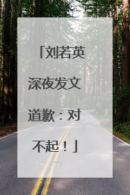 刘若英深夜发文道歉：对不起！