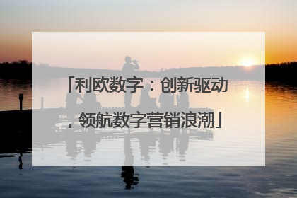 利欧数字：创新驱动，领航数字营销浪潮