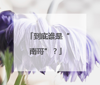 到底谁是“南哥”？