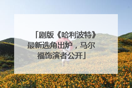 剧版《哈利波特》最新选角出炉，马尔福饰演者公开