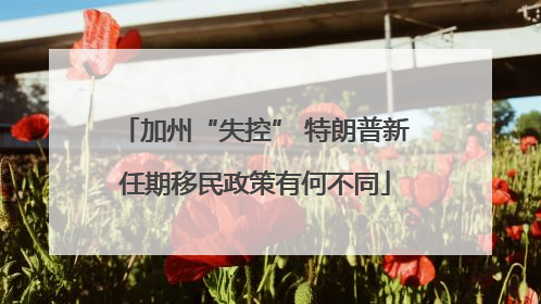 加州“失控” 特朗普新任期移民政策有何不同