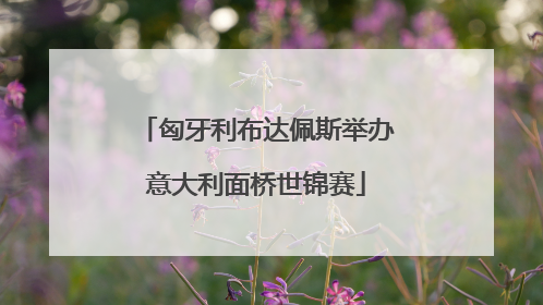 匈牙利布达佩斯举办意大利面桥世锦赛