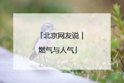 北京网友说｜燃气与人气