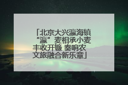 北京大兴瀛海镇“瀛”麦相承小麦丰收开镰 奏响农文旅融合新乐章
