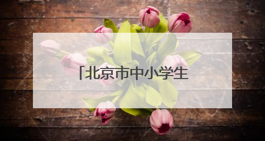 北京市中小学生篮球联赛落幕