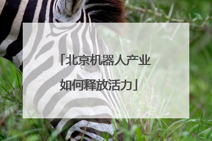 北京机器人产业如何释放活力