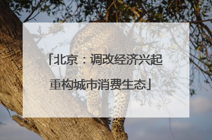 北京：调改经济兴起 重构城市消费生态