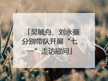 吴毓舟、刘永强分别带队开展“七一”走访慰问