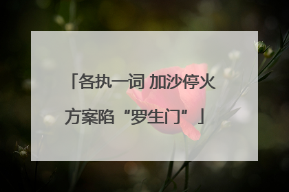 各执一词 加沙停火方案陷“罗生门”