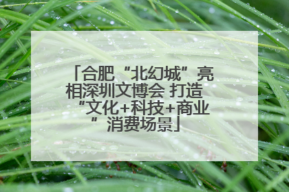 合肥“北幻城”亮相深圳文博会 打造“文化+科技+商业”消费场景