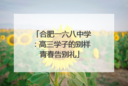 合肥一六八中学：高三学子的别样青春告别礼