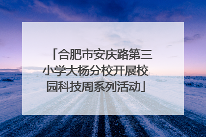 合肥市安庆路第三小学大杨分校开展校园科技周系列活动
