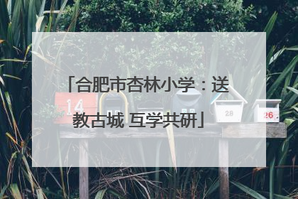 合肥市杏林小学：送教古城 互学共研