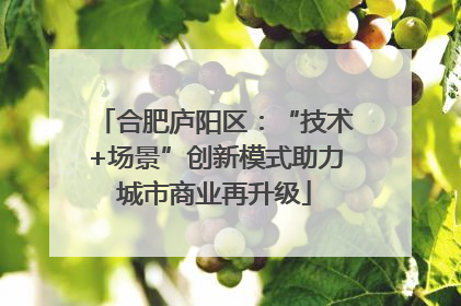 合肥庐阳区：“技术+场景”创新模式助力城市商业再升级