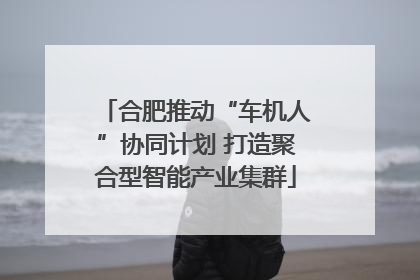 合肥推动“车机人”协同计划 打造聚合型智能产业集群