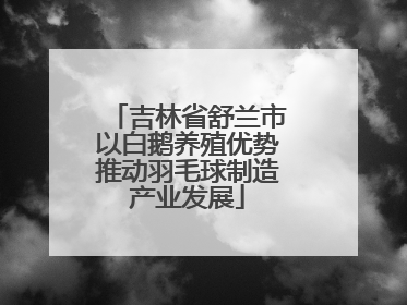 吉林省舒兰市以白鹅养殖优势推动羽毛球制造产业发展