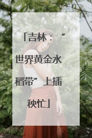 吉林：“世界黄金水稻带”上插秧忙