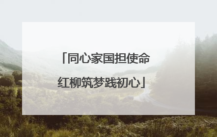 同心家国担使命 红柳筑梦践初心