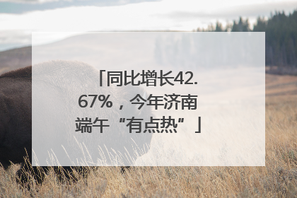 同比增长42.67%，今年济南端午“有点热”