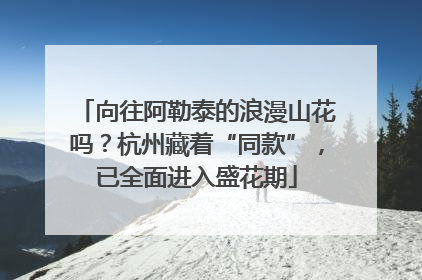 向往阿勒泰的浪漫山花吗？杭州藏着“同款”，已全面进入盛花期