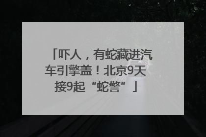 吓人，有蛇藏进汽车引擎盖！北京9天接9起“蛇警”
