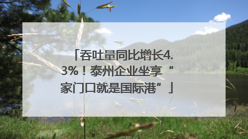 吞吐量同比增长4.3%！泰州企业坐享“家门口就是国际港”