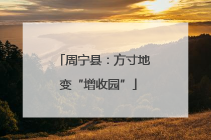 周宁县：方寸地变“增收园”