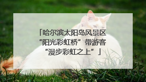 哈尔滨太阳岛风景区“阳光彩虹桥”带游客“漫步彩虹之上”