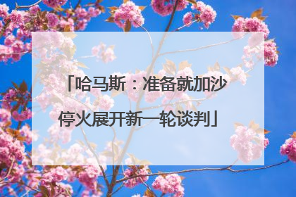 哈马斯：准备就加沙停火展开新一轮谈判
