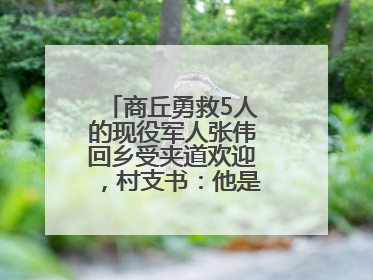 商丘勇救5人的现役军人张伟回乡受夹道欢迎，村支书：他是本村的骄傲