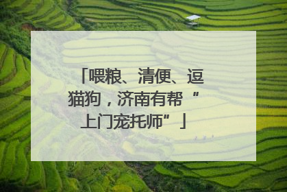 喂粮、清便、逗猫狗，济南有帮“上门宠托师”