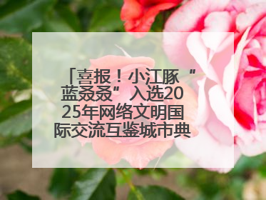 喜报！小江豚“蓝叒叒”入选2025年网络文明国际交流互鉴城市典型案例