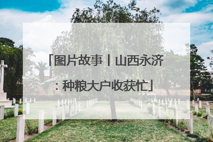 图片故事丨山西永济：种粮大户收获忙
