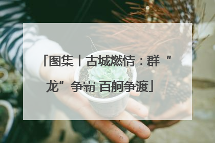 图集丨古城燃情：群“龙”争霸 百舸争渡
