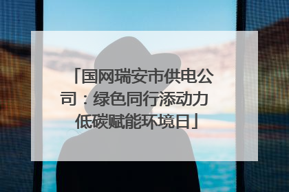 国网瑞安市供电公司：绿色同行添动力 低碳赋能环境日