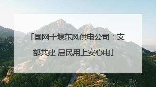 国网十堰东风供电公司：支部共建 居民用上安心电