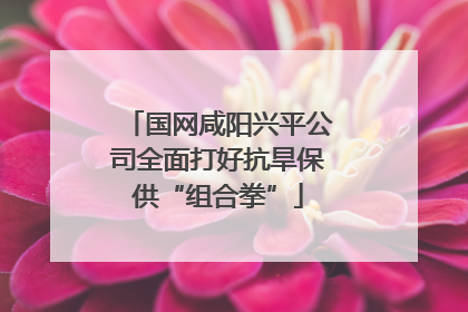 国网咸阳兴平公司全面打好抗旱保供“组合拳”