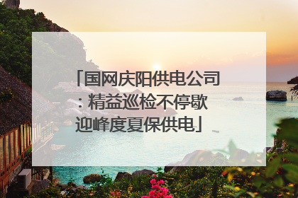 国网庆阳供电公司：精益巡检不停歇 迎峰度夏保供电
