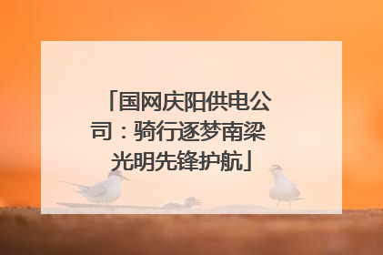 国网庆阳供电公司：骑行逐梦南梁 光明先锋护航