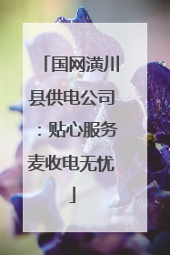 国网潢川县供电公司：贴心服务麦收电无忧