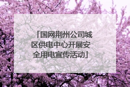 国网荆州公司城区供电中心开展安全用电宣传活动