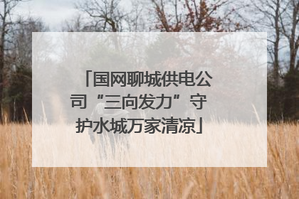 国网聊城供电公司“三向发力”守护水城万家清凉