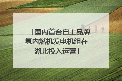 国内首台自主品牌氢内燃机发电机组在湖北投入运营