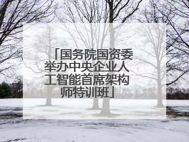国务院国资委举办中央企业人工智能首席架构师特训班